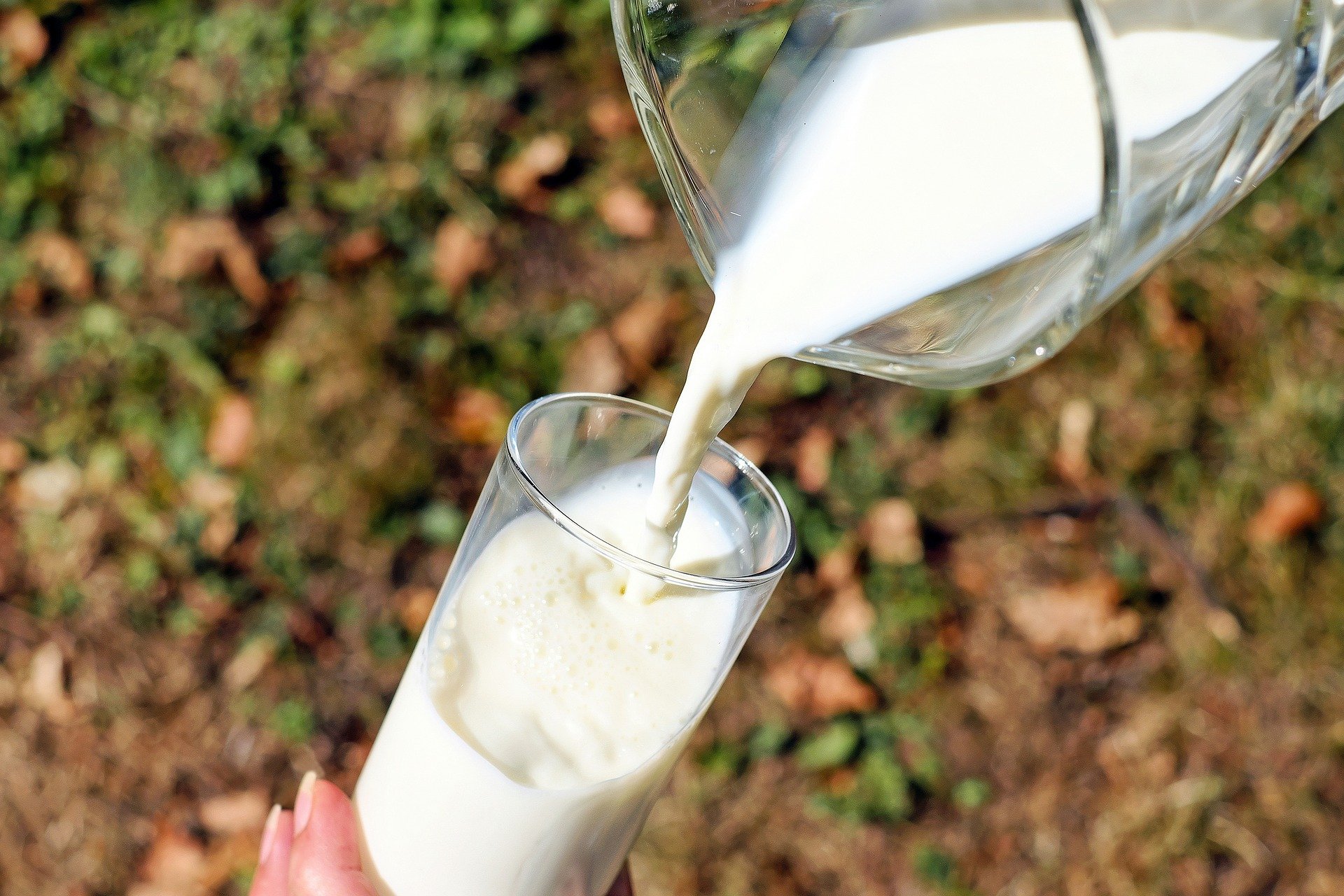 Quel est le lait le plus écologique ?