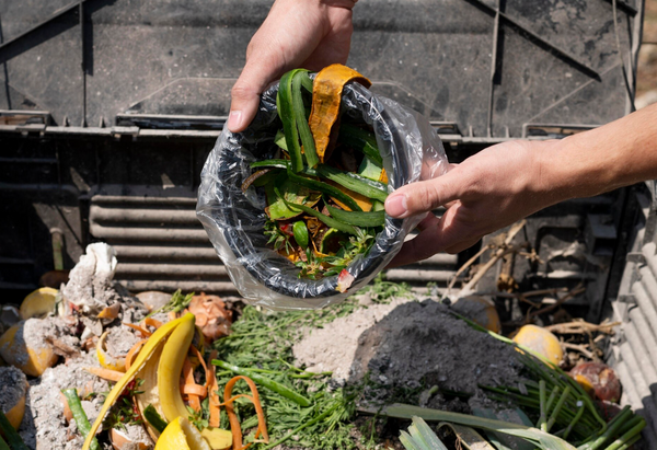 Comment réduire le gaspillage alimentaire : 15 astuces concrètes